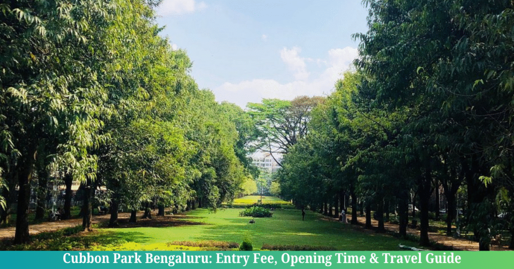 Cubbon Park Bengaluru: Entry Fee, Opening Time & Travel Guide